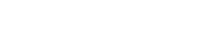 VPS Logo white transparent